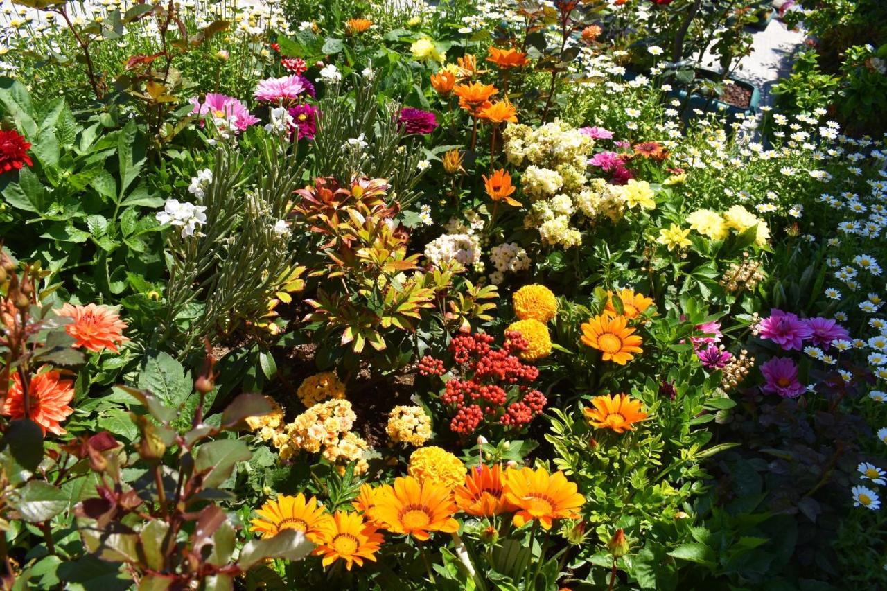 Hotel Garden Terrace Old Istanbul Exterior foto